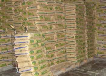 Acaparamiento de maíz para masa eleva precio de la tortilla