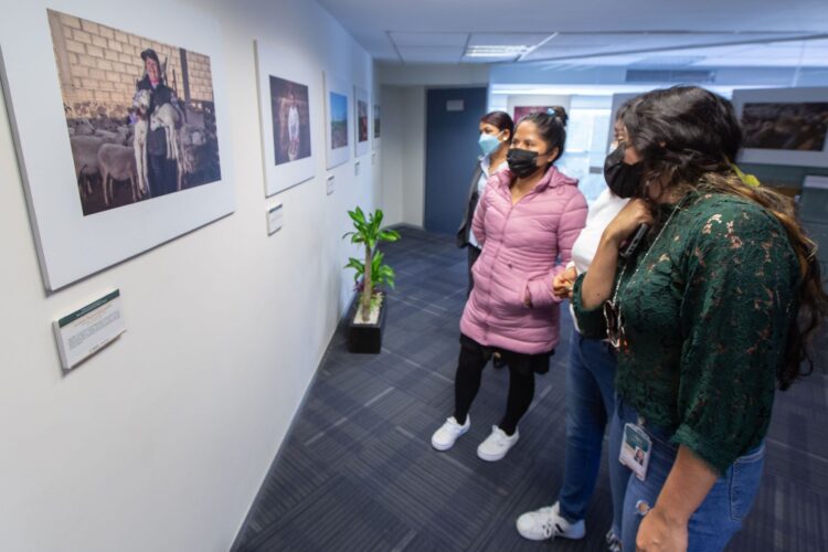 Mujeres rurales, indispensables en el camino para fortalecer la seguridad alimentaria
