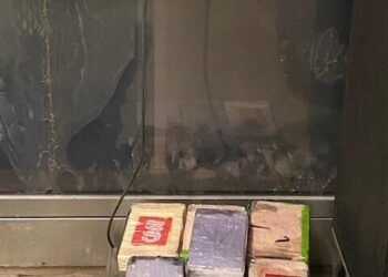 Decomisan 1MDD en fentanilo en Pharr