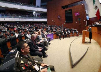 Debaten en el Senado sobre participación de Fuerzas Armadas en tareas de seguridad pública