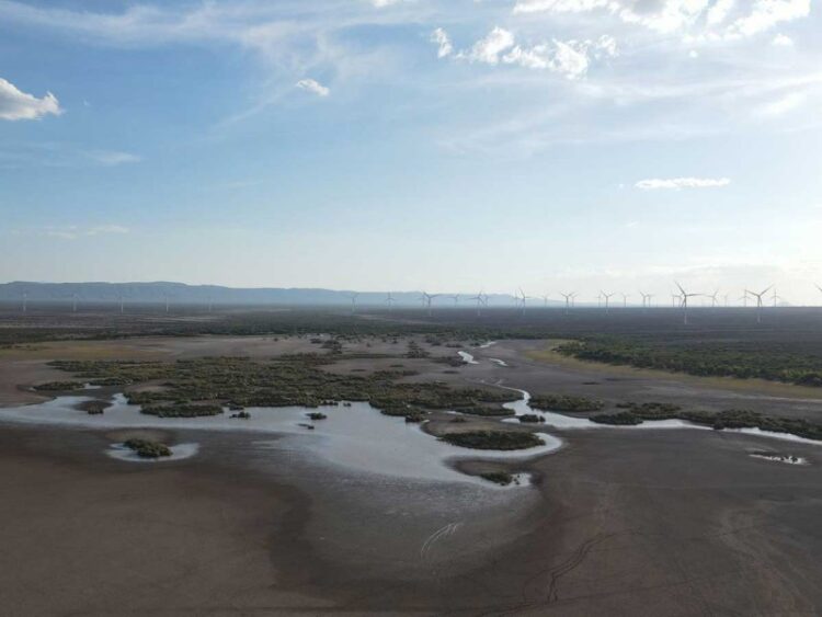 Cede la sequía en México, 74.60% del territorio nacional está libre de afectaciones