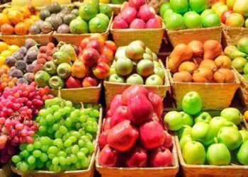 Descartan investigación que pondría en riesgo exportaciones de frutas y hortalizas de México a EU