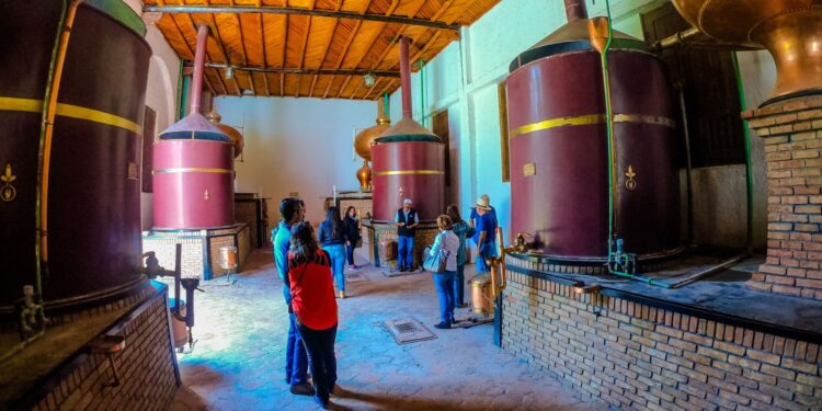 México sede del 43º Congreso Mundial de la Viña y del Vino; el más importante en su ramo