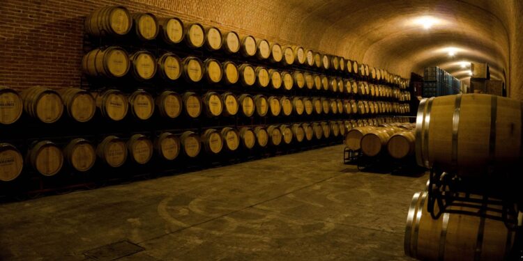 México sede del 43º Congreso Mundial de la Viña y del Vino; el más importante en su ramo