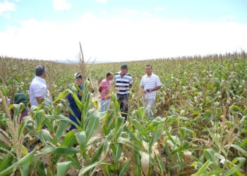 Advierten agricultores colapso del campo, inflación y economía con Ley de Plaguicidas