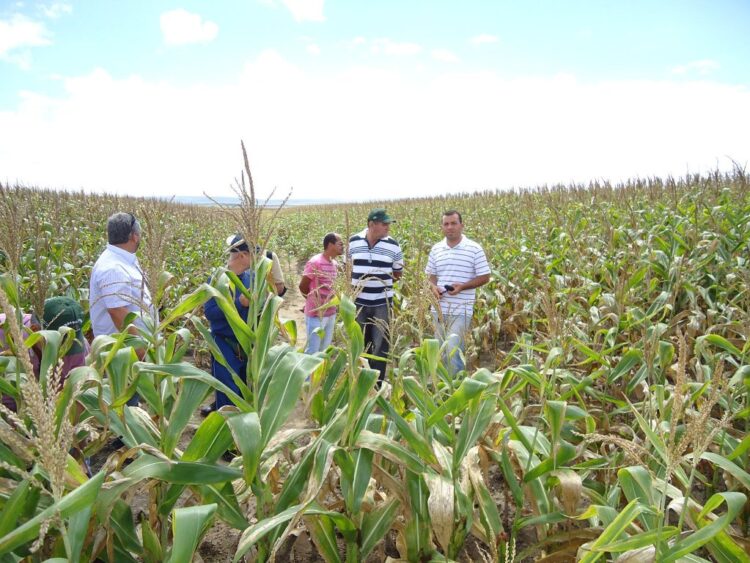 Advierten agricultores colapso del campo, inflación y economía con Ley de Plaguicidas