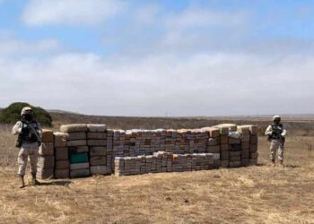 Golpe al narco… Sedena y FGR aseguran 2 toneladas de cocaína en Chiapas