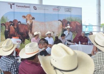 Dialoga Secretario de Desarrollo Rural con  productores agrícolas y ganaderos tamaulipecos