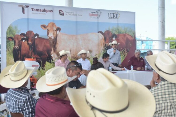 Dialoga Secretario de Desarrollo Rural con  productores agrícolas y ganaderos tamaulipecos