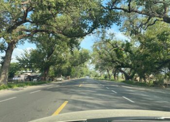 Plantean Parque Ecológico Citrícola en zona El Barretal-Purificación