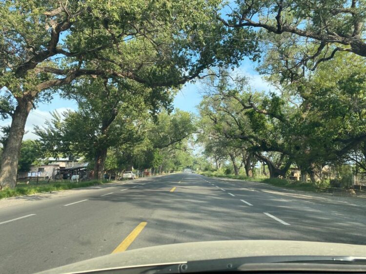 Plantean Parque Ecológico Citrícola en zona El Barretal-Purificación