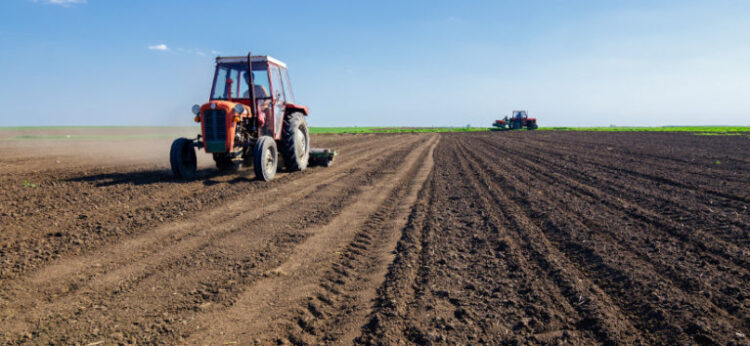 Arranca preparación de 270 mil has. agrícolas en Valle de San Fernando