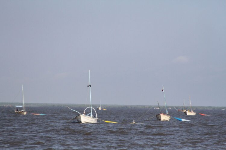 Abona investigación científica a la captura responsable de camarón: INAPESCA