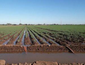 Darán a productores fronterizos riego completo