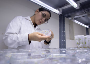 Estudiante de la UAT diseña prototipo para tratar agua residual de uso doméstico