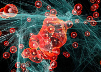 Descubren molécula capaz de prevenir la leucemia y otros tipos de cáncer