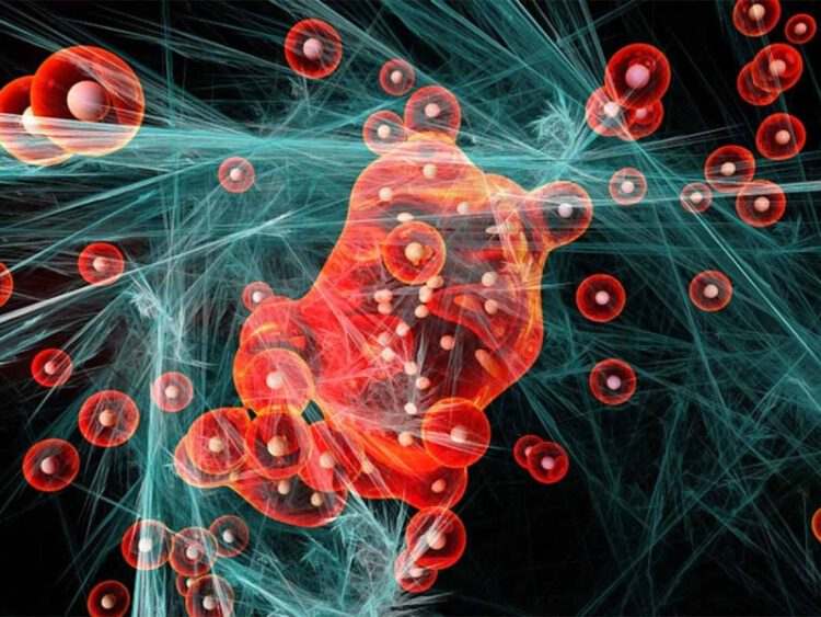 Descubren molécula capaz de prevenir la leucemia y otros tipos de cáncer