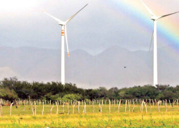 Ordenan a eólica desocupar y regresar terrenos en Oaxaca