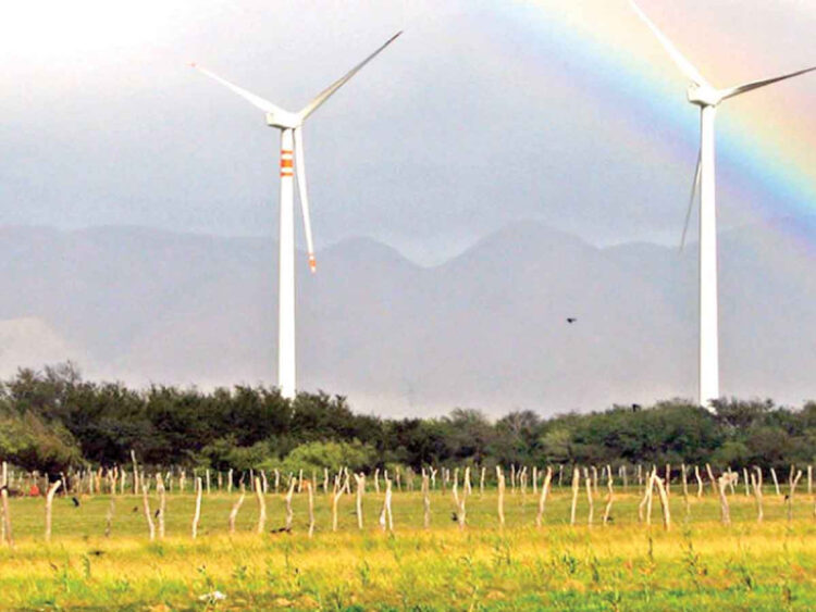 Ordenan a eólica desocupar y regresar terrenos en Oaxaca