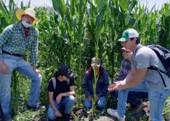 Revisan SADER e INEGI avances del Censo Agropecuario 2022