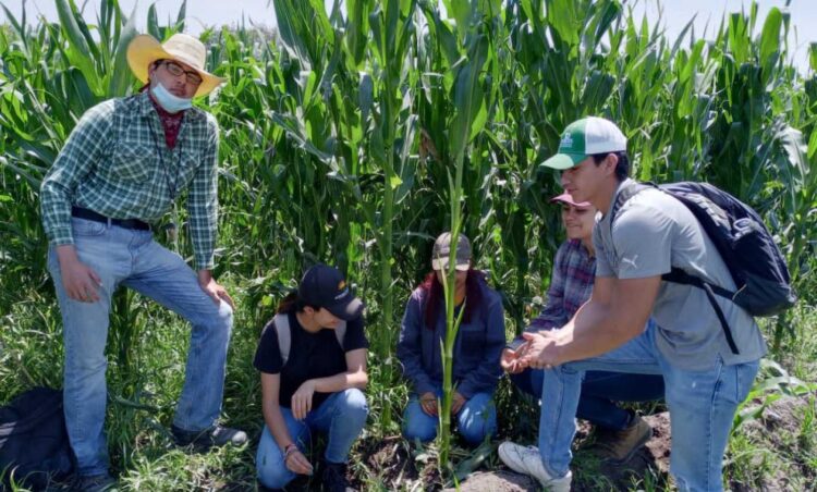 Revisan SADER e INEGI avances del Censo Agropecuario 2022