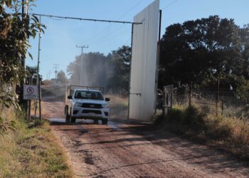 Retira Gobierno Federal la cuarentena a granjas avícolas de Nuevo León 