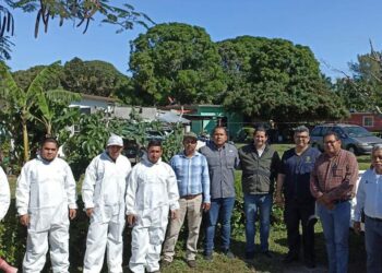 Activa SS vigilancia epidemiológica por caso de encefalitis equina en Aldama