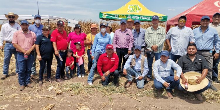  Impulsan la autosuficiencia alimentaria de maíz en Tamaulipas