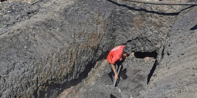  Impulsan la autosuficiencia alimentaria de maíz en Tamaulipas