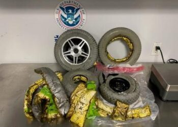 Detienen a dominicana con cocaína en aeropuerto de Nueva York