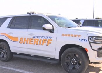 Confiscan cocaína y armas en Harlingen