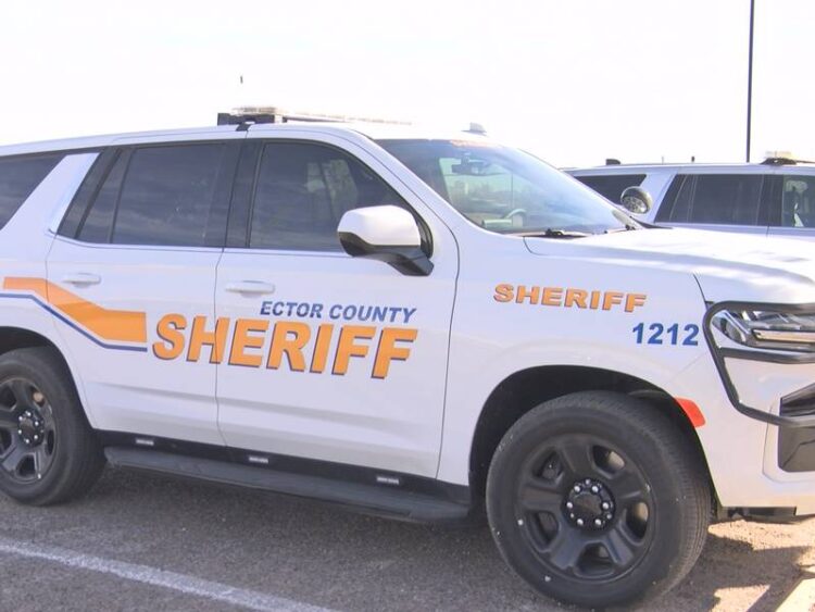 Confiscan cocaína y armas en Harlingen