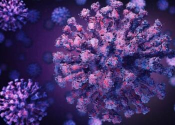 Variante ‘perro del infierno’: Hay 16 casos detectados en estas entidades