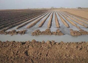 Autorizan riego para Distrito 025