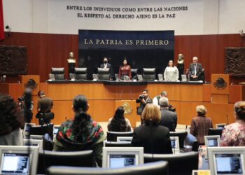 Senado aprueba derogar disposiciones que condicionan otorgar la  pensión por viudez