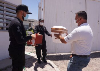 Implementa Senasica medidas contraepidémicas en 7 estados para proteger a  producción avícola 