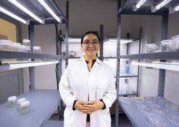 Estudiante de la UAT diseña prototipo para tratar agua residual de uso doméstico