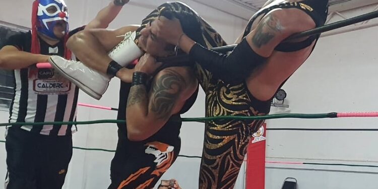 Obtiene Black Faller cinturón como campeón de Victoria