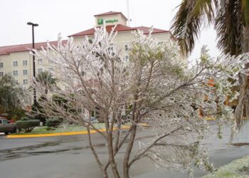 Alertan por temperaturas de congelación para el jueves en Tamaulipas