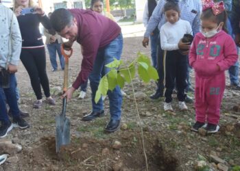 Impulsan campaña de reforestación en escuelas de Tamaulipas