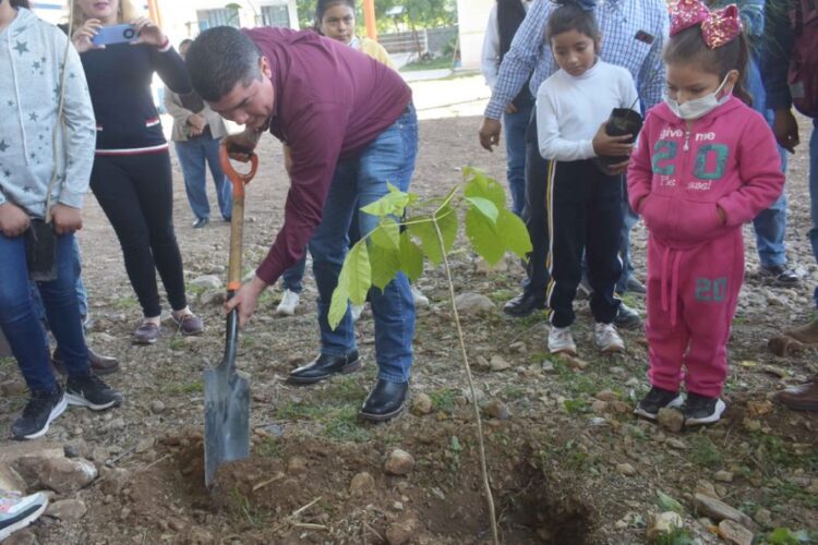 Impulsan campaña de reforestación en escuelas de Tamaulipas