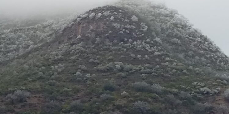 Aguanieve y hielo en partes altas de sierra d Victoria y el altiplano