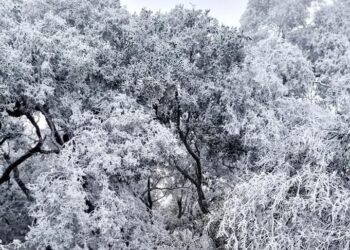 Aguanieve y hielo en partes altas de sierra d Victoria y el altiplano