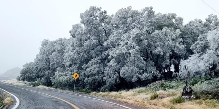 Aguanieve y hielo en partes altas de sierra d Victoria y el altiplano