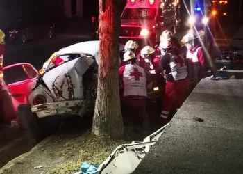 Ebrio prensado al estrellar auto con palmera en la Col. Satélite