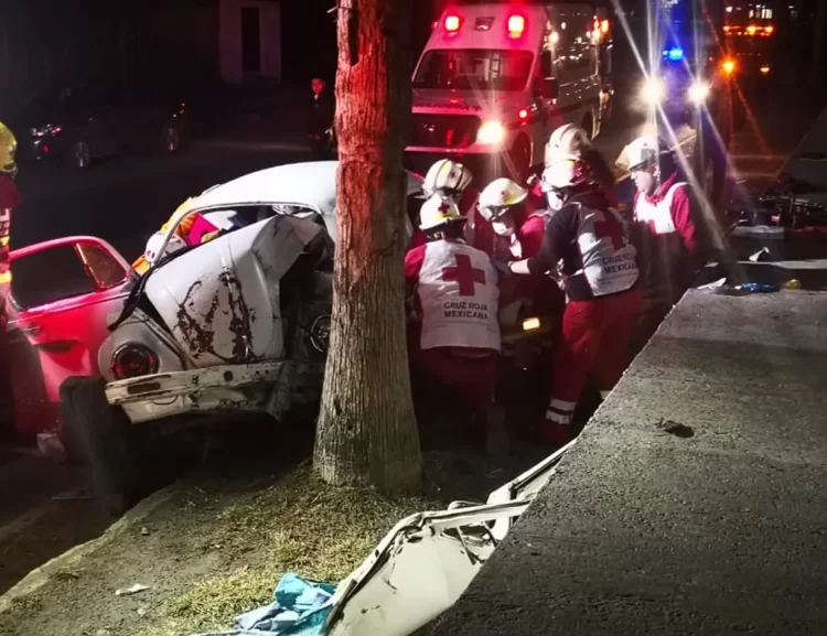 Ebrio prensado al estrellar auto con palmera en la Col. Satélite