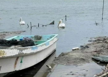 Encuentran muerto a pescador en su lancha en San Fernando