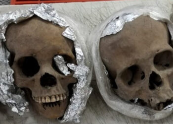 Aseguran cuatro cráneos humanos en aeropuerto de Querétaro; iban a EU