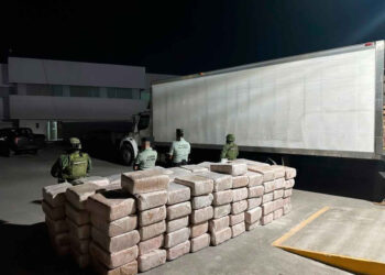 Detiene la Guardia Nacional en Nuevo León a hombre con media tonelada de marihuana