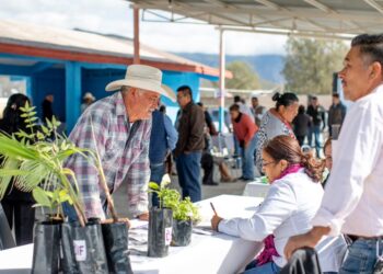 Va DIF Tamaulipas por personas vulnerables casa por casa en los 43 municipios